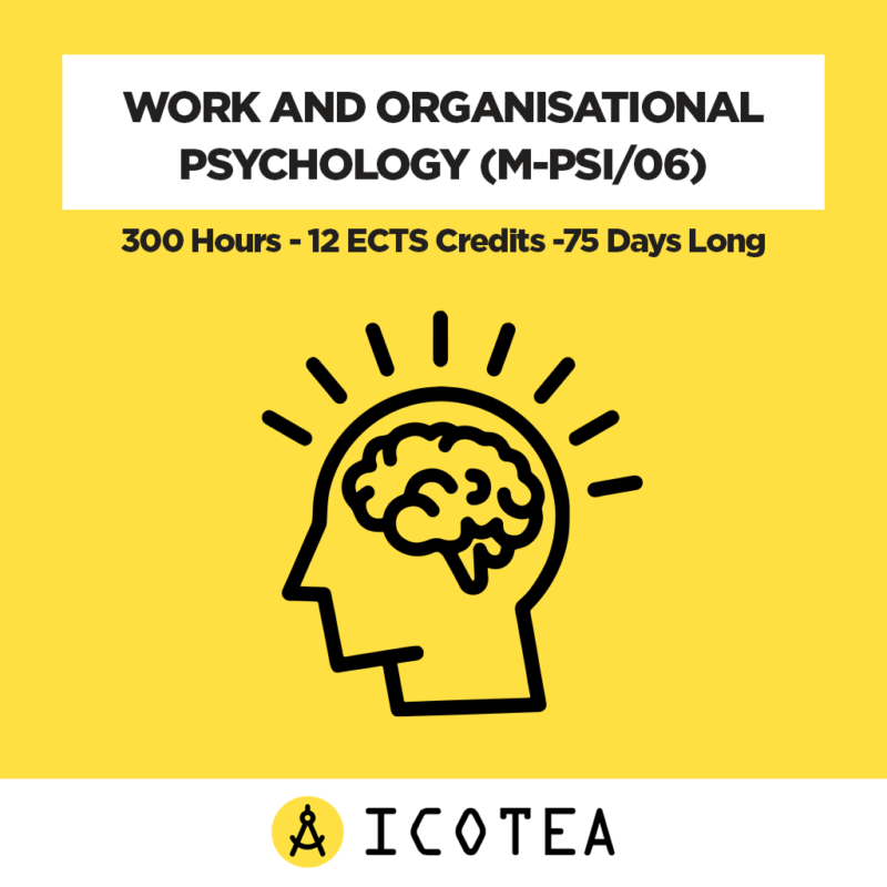 Work And Organisational Psychology (M-PSI06) -300 Hours - 12 ECTS Credits -75 Days Long